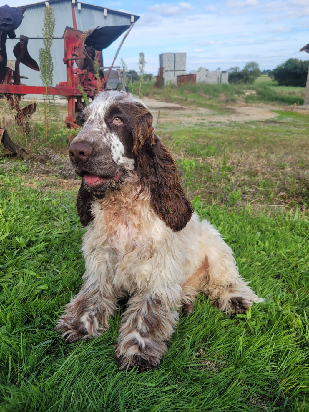 Arribo Du Domaine D'Anteros